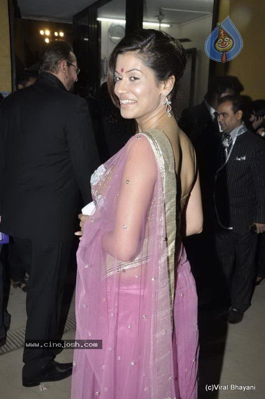 56th Idea Filmfare Awards 2010 - 73 / 266 photos