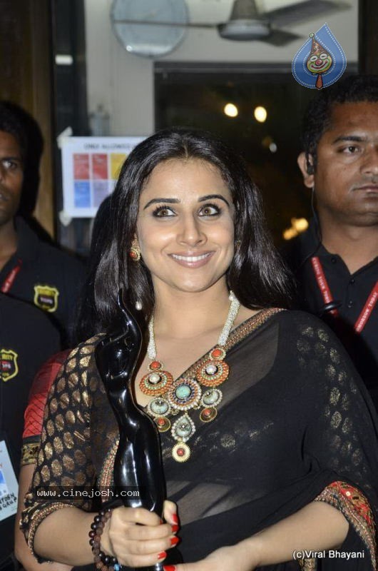 56th Idea Filmfare Awards 2010 - 87 / 266 photos