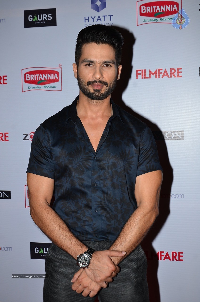 60th Britannia Filmfare Awards Pre Awards Party 02 - 41 / 60 photos