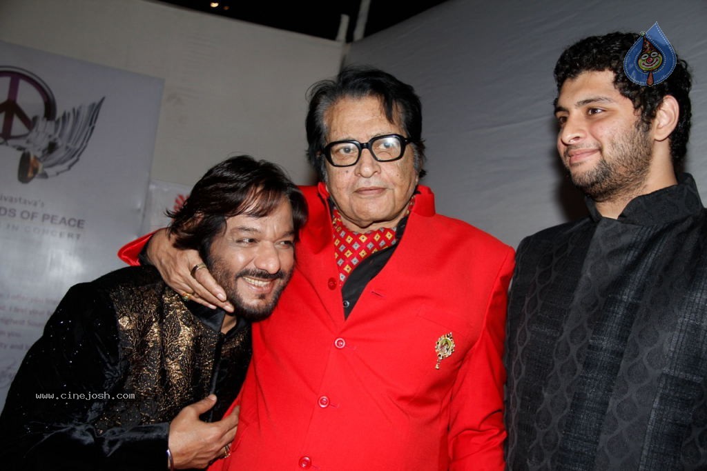 Aadesh Shrivastava Global Sounds of Peace Concert - 3 / 67 photos