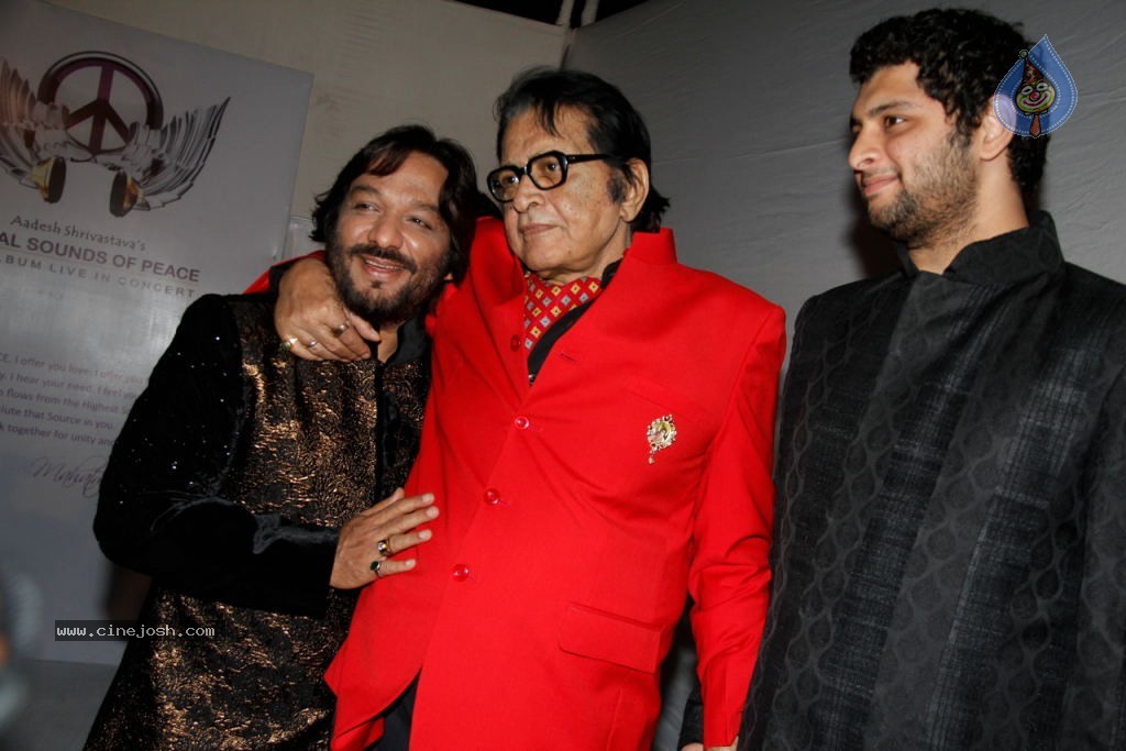 Aadesh Shrivastava Global Sounds of Peace Concert - 18 / 67 photos