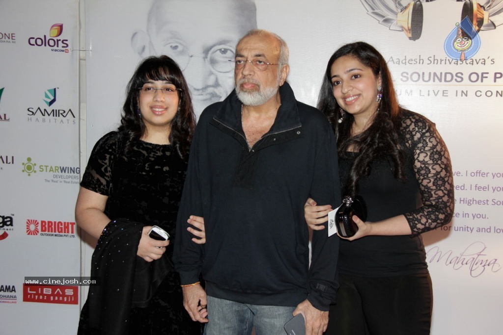Aadesh Shrivastava Global Sounds of Peace Concert - 46 / 67 photos