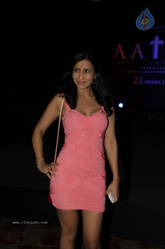AATMA Movie 1st Look Launch Event - 2 / 48 photos