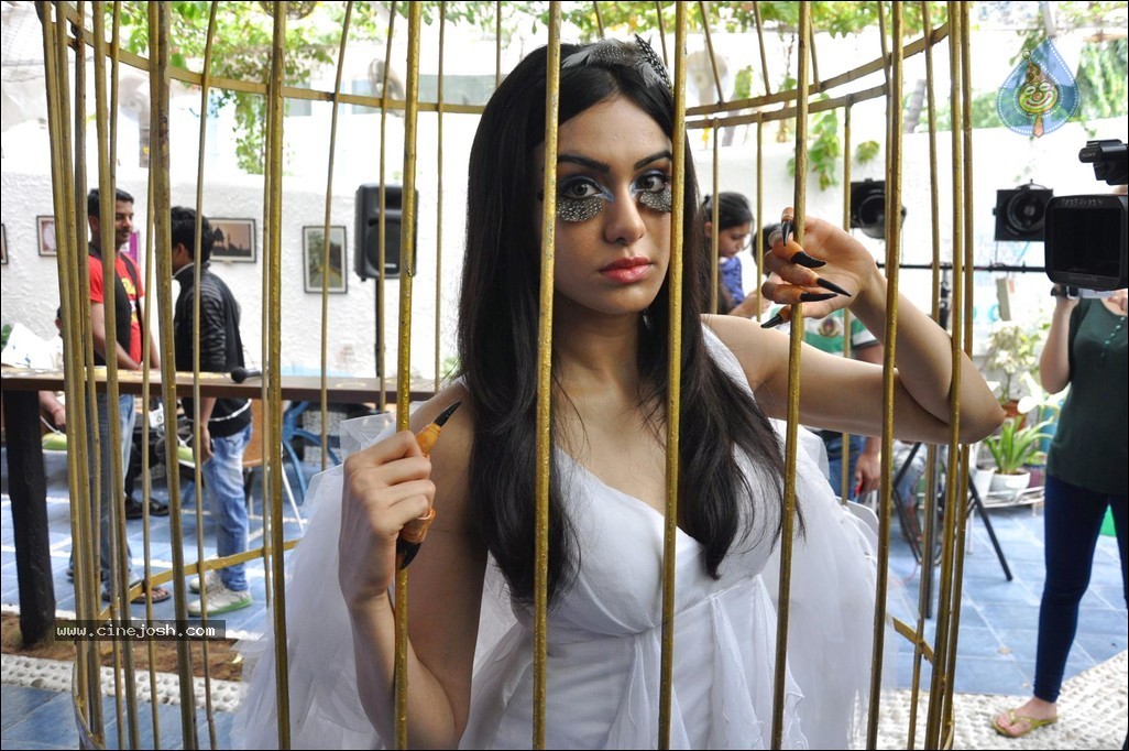 Adah Sharma at PETA Campaign - 43 / 68 photos