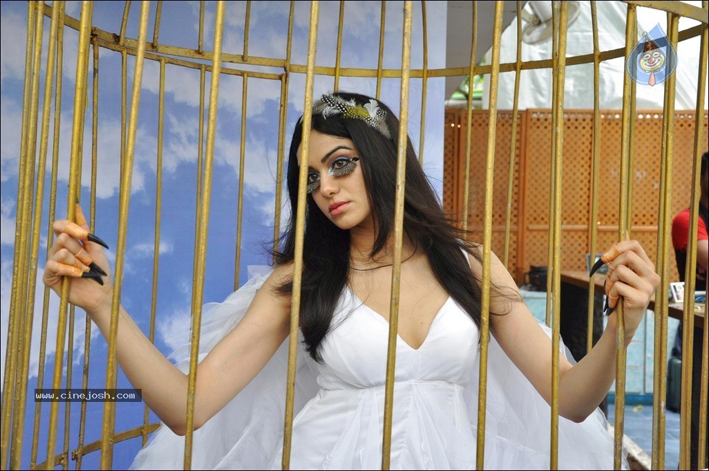 Adah Sharma at PETA Campaign - 58 / 68 photos