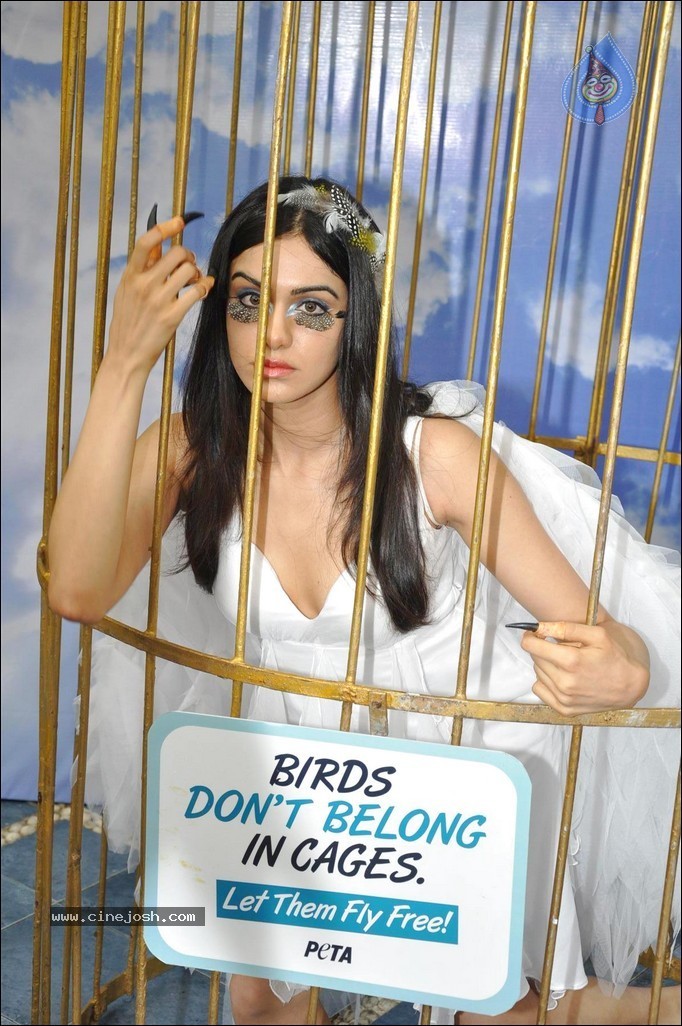 Adah Sharma at PETA Campaign - 59 / 68 photos