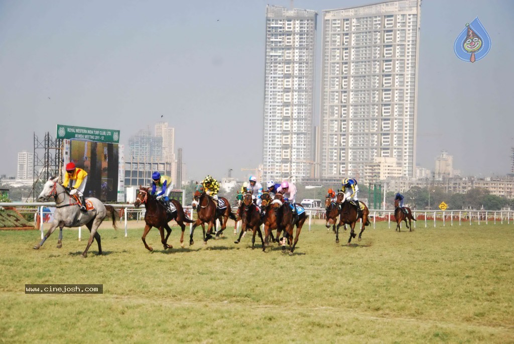 AGP Multimillion Race Event - 66 / 71 photos