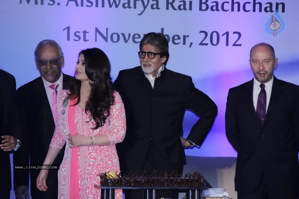 Aishwarya Rai at French Civilian Award Event - 6 / 53 photos