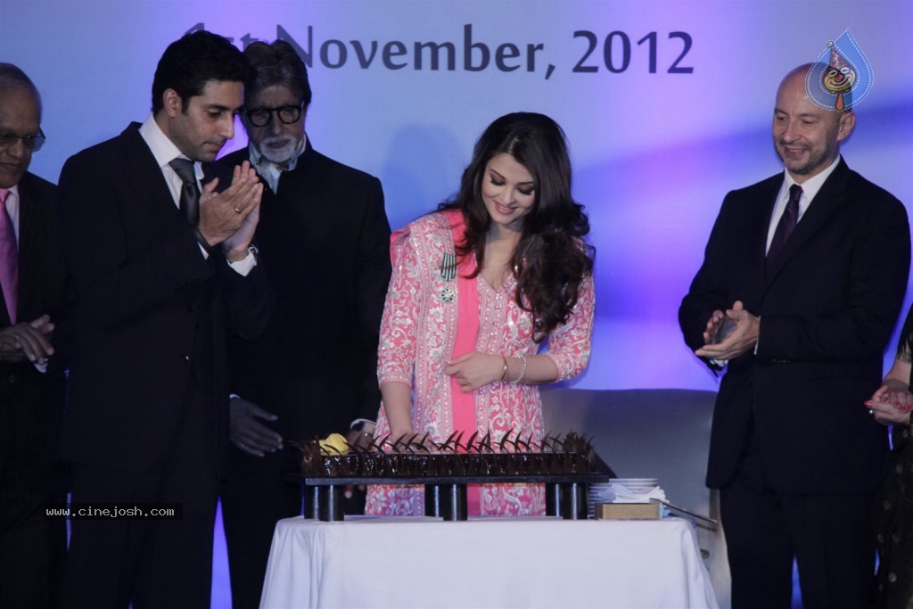Aishwarya Rai at French Civilian Award Event - 36 / 53 photos