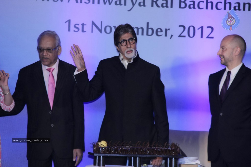 Aishwarya Rai at French Civilian Award Event - 41 / 53 photos