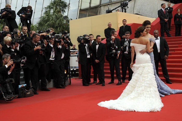 Aishwarya Rai Walks the Red Carpet at Cannes 2010 Event - 5 / 20 photos