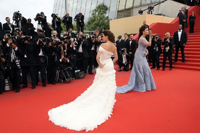 Aishwarya Rai Walks the Red Carpet at Cannes 2010 Event - 20 / 20 photos