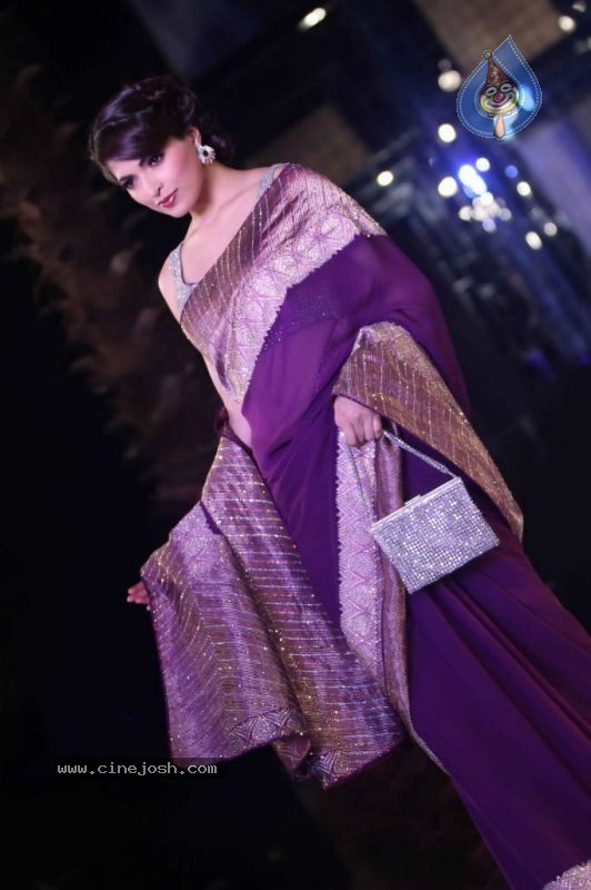 Aamby Valley Indian Bridal Week Day 2 - 11 / 74 photos