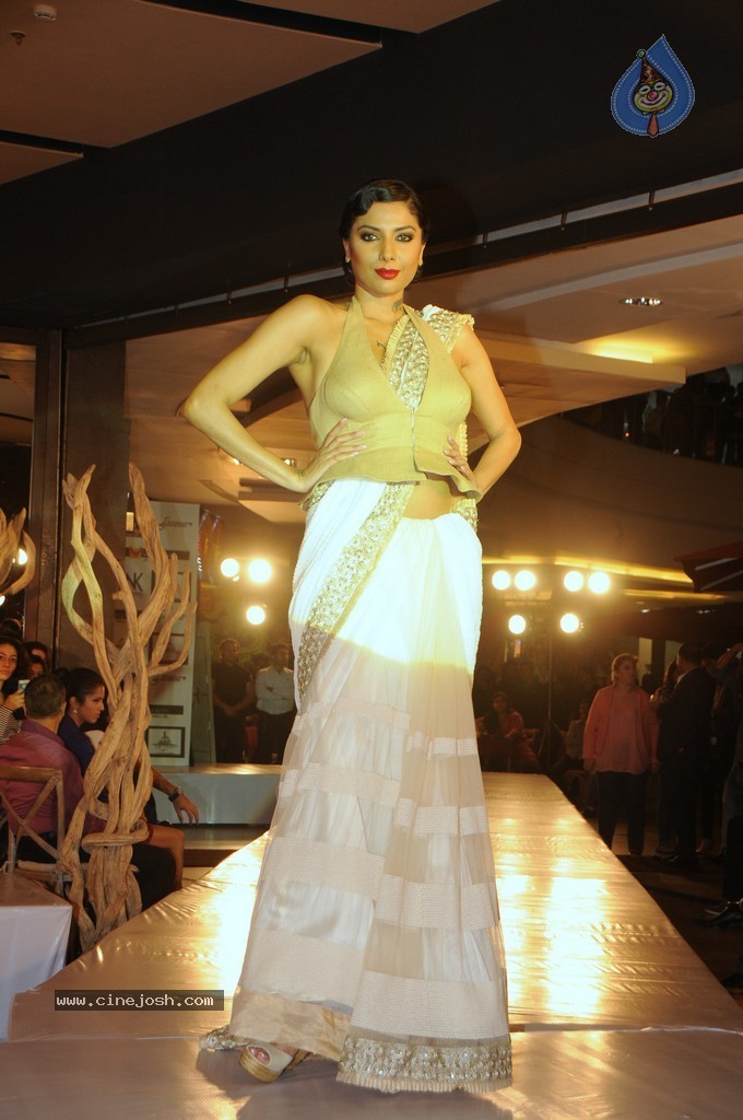 Amy Billimorias Eco Art Fashion Initiative Earth 21 - 27 / 73 photos