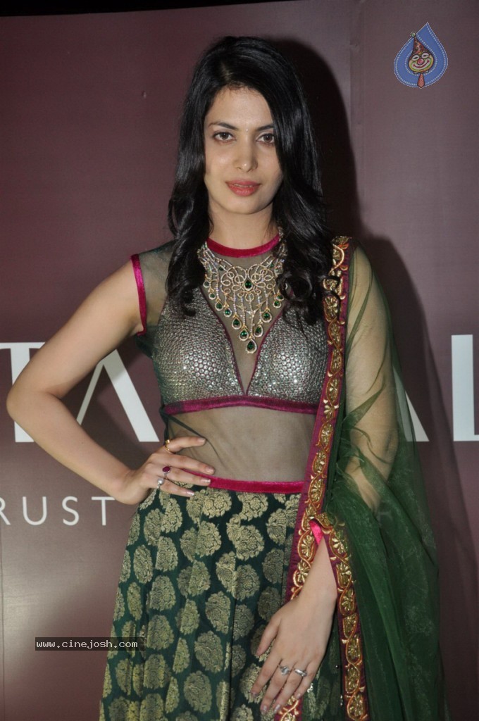 Ankita Shorey at Gitanjali IRFW 2012  - 5 / 51 photos