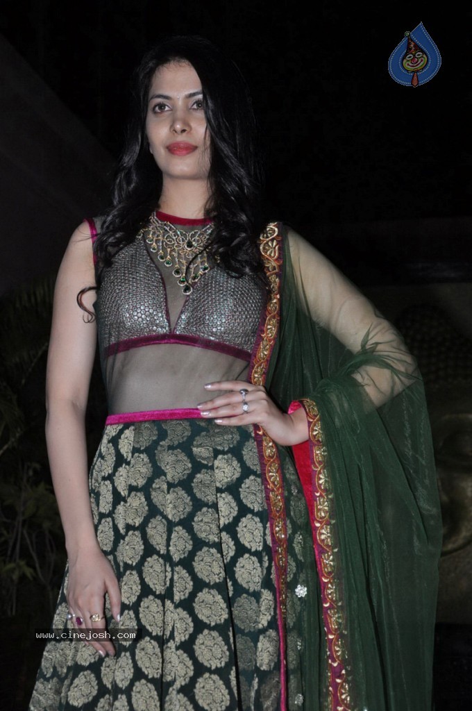 Ankita Shorey at Gitanjali IRFW 2012  - 20 / 51 photos