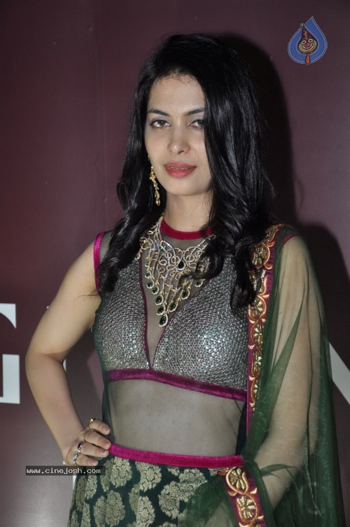 Ankita Shorey at Gitanjali IRFW 2012  - 39 / 51 photos
