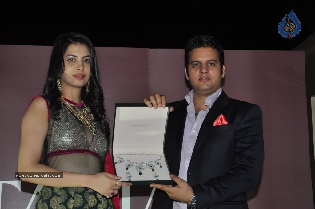 Ankita Shorey at Gitanjali IRFW 2012  - 40 / 51 photos