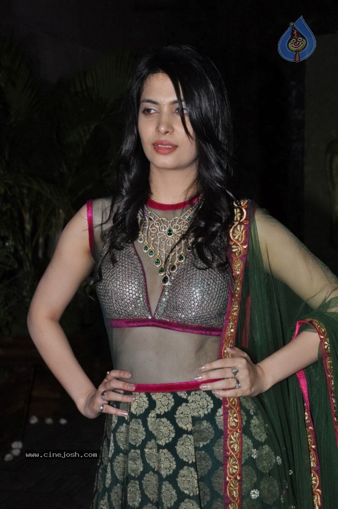 Ankita Shorey at Gitanjali IRFW 2012  - 42 / 51 photos