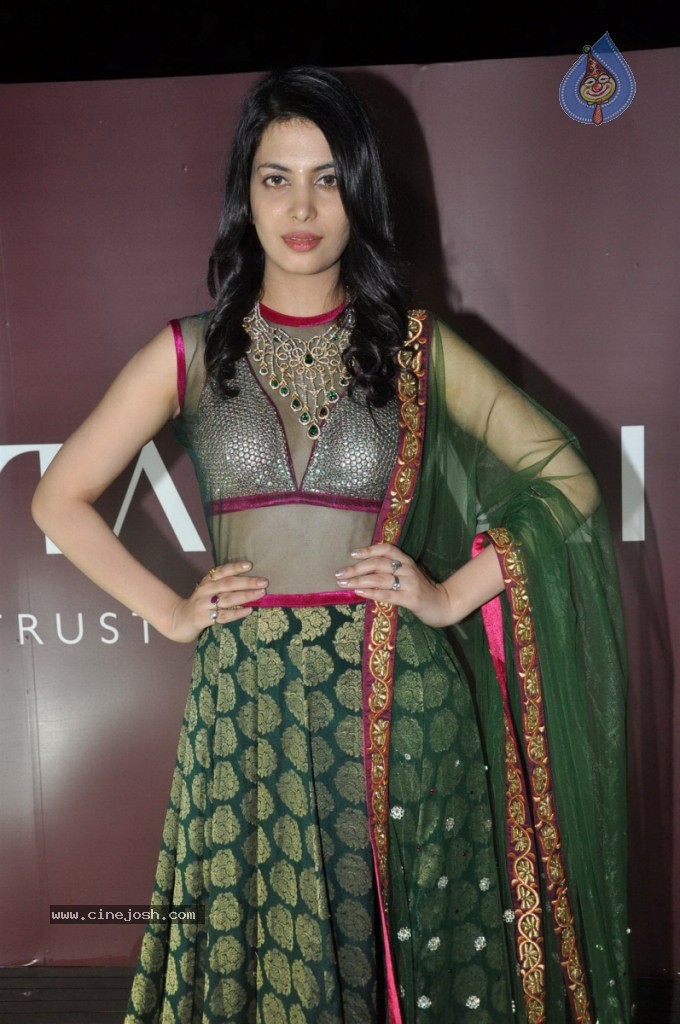 Ankita Shorey at Gitanjali IRFW 2012  - 47 / 51 photos