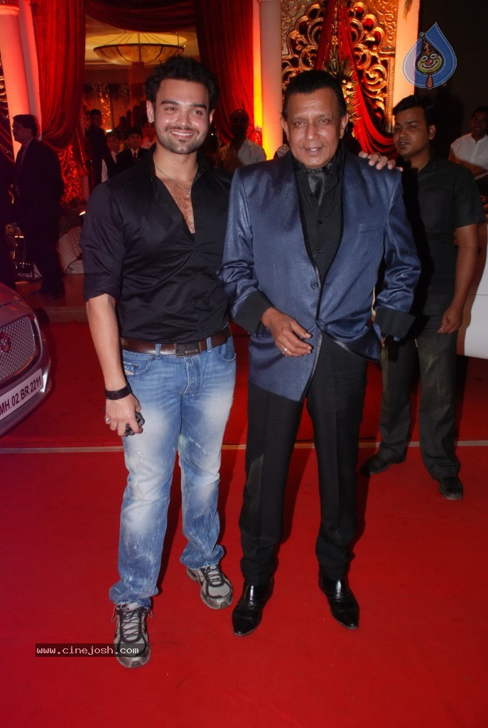 Bappa Lahiri Wedding Reception - 35 / 75 photos