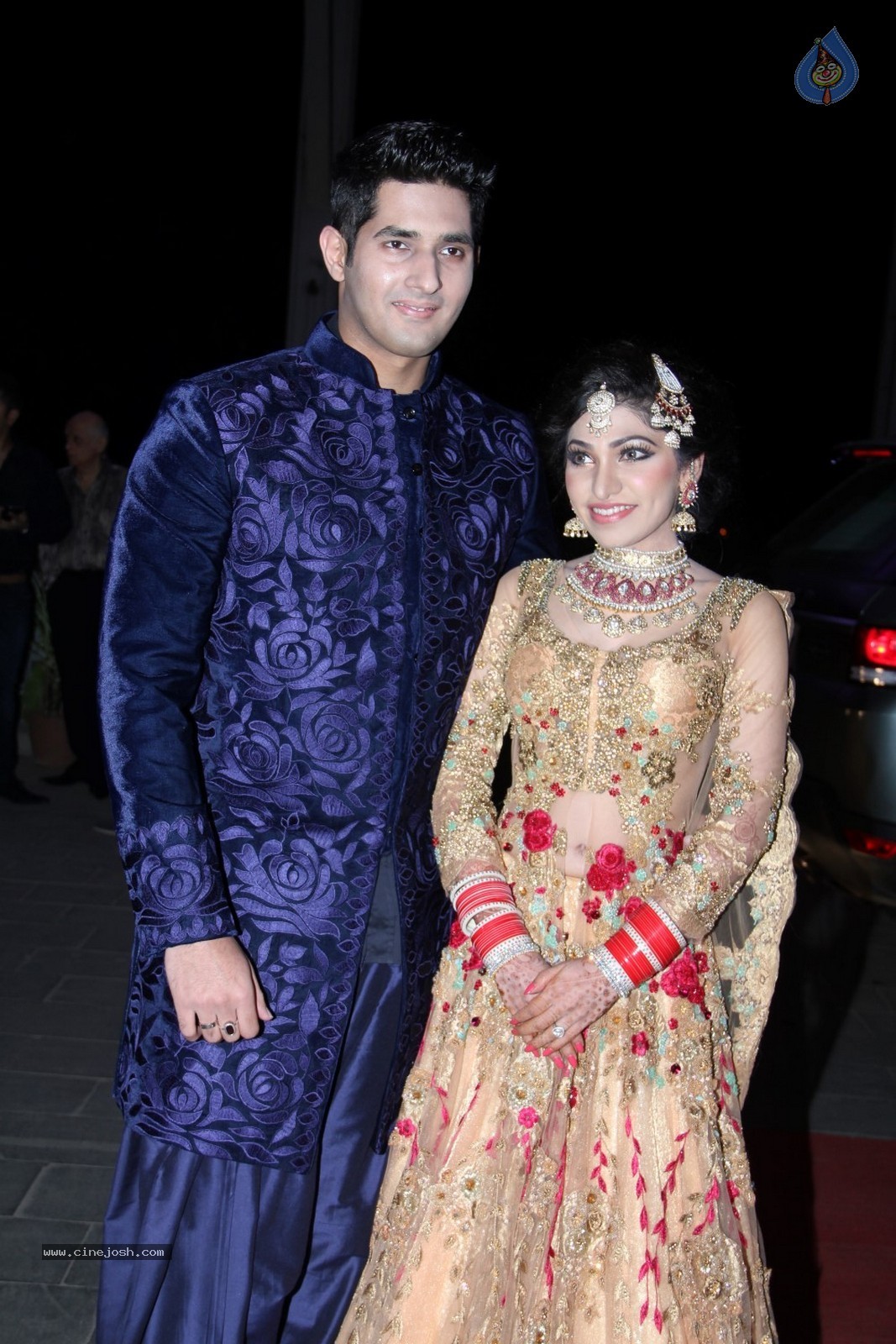 Bhushan Kumar Sister Tulasi Kumar Wedding Reception 02 - 4 / 119 photos