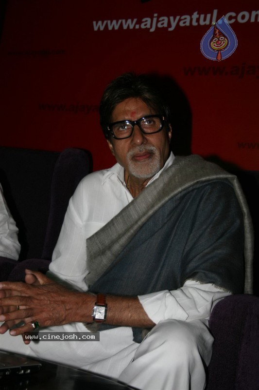 Big B, Raj Thackeray at a website launch. - 15 / 29 photos