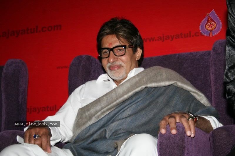 Big B, Raj Thackeray at a website launch. - 17 / 29 photos