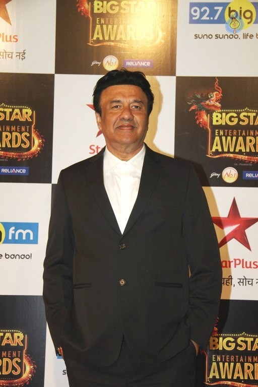 BIG STAR Entertainment Awards 2015 - 70 / 84 photos