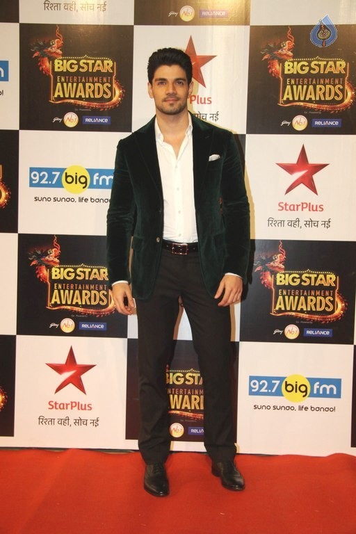 BIG STAR Entertainment Awards 2015 - 83 / 84 photos
