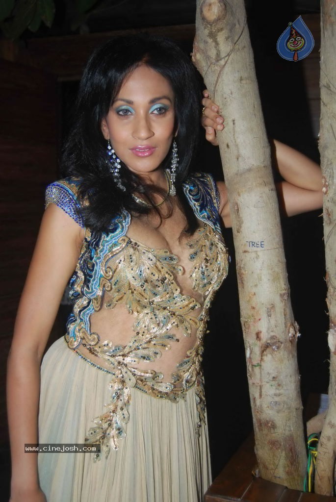Blenders Pride Punjab Fashion Week Launch Event - 31 / 49 photos