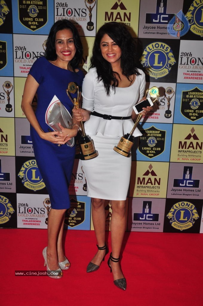 Bolly Celebs at 20th LIONS GOLD Awards - 17 / 37 photos