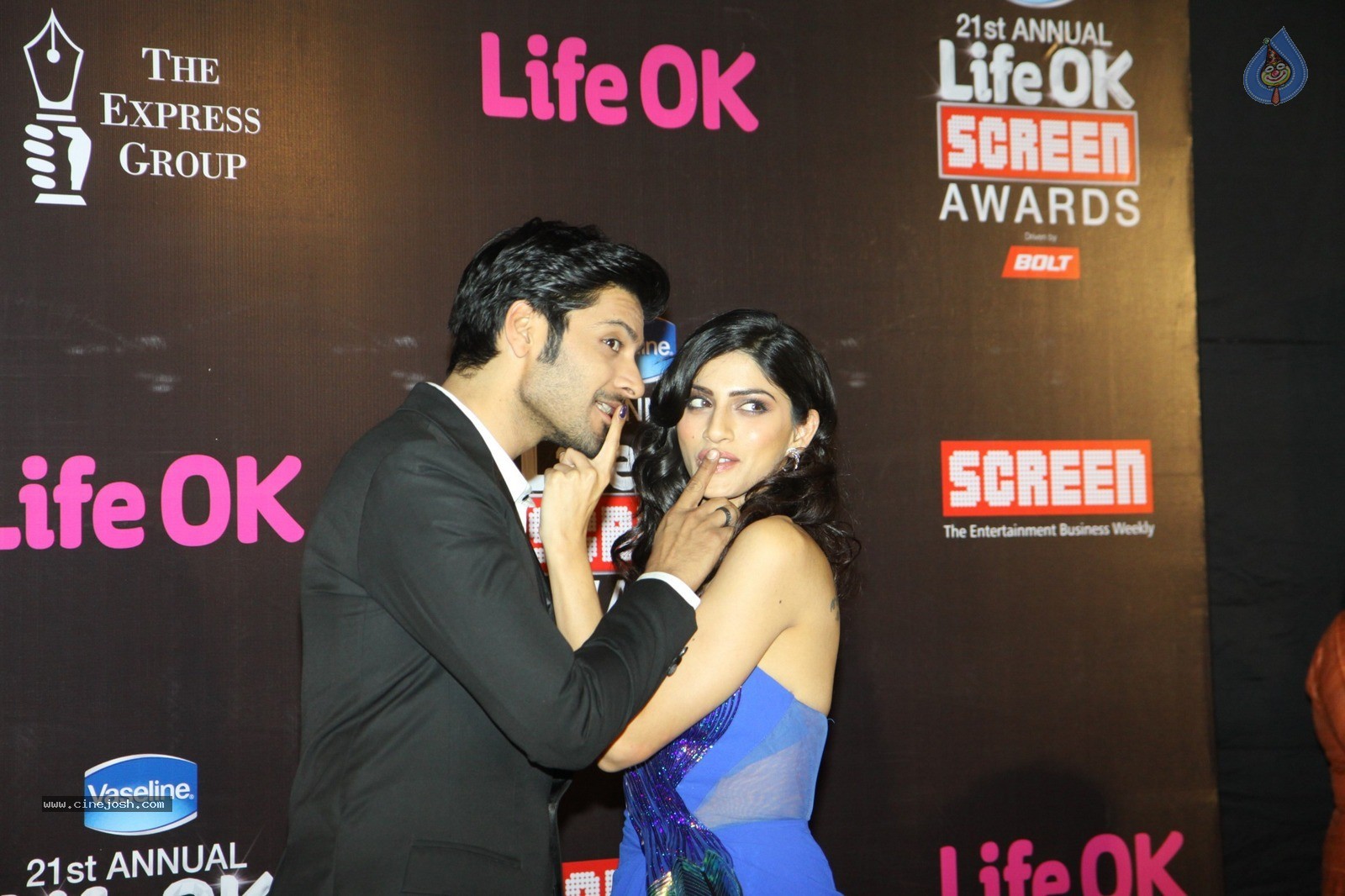 Bolly Celebs at 21st Life OK Screen Awards 02 - 45 / 78 photos