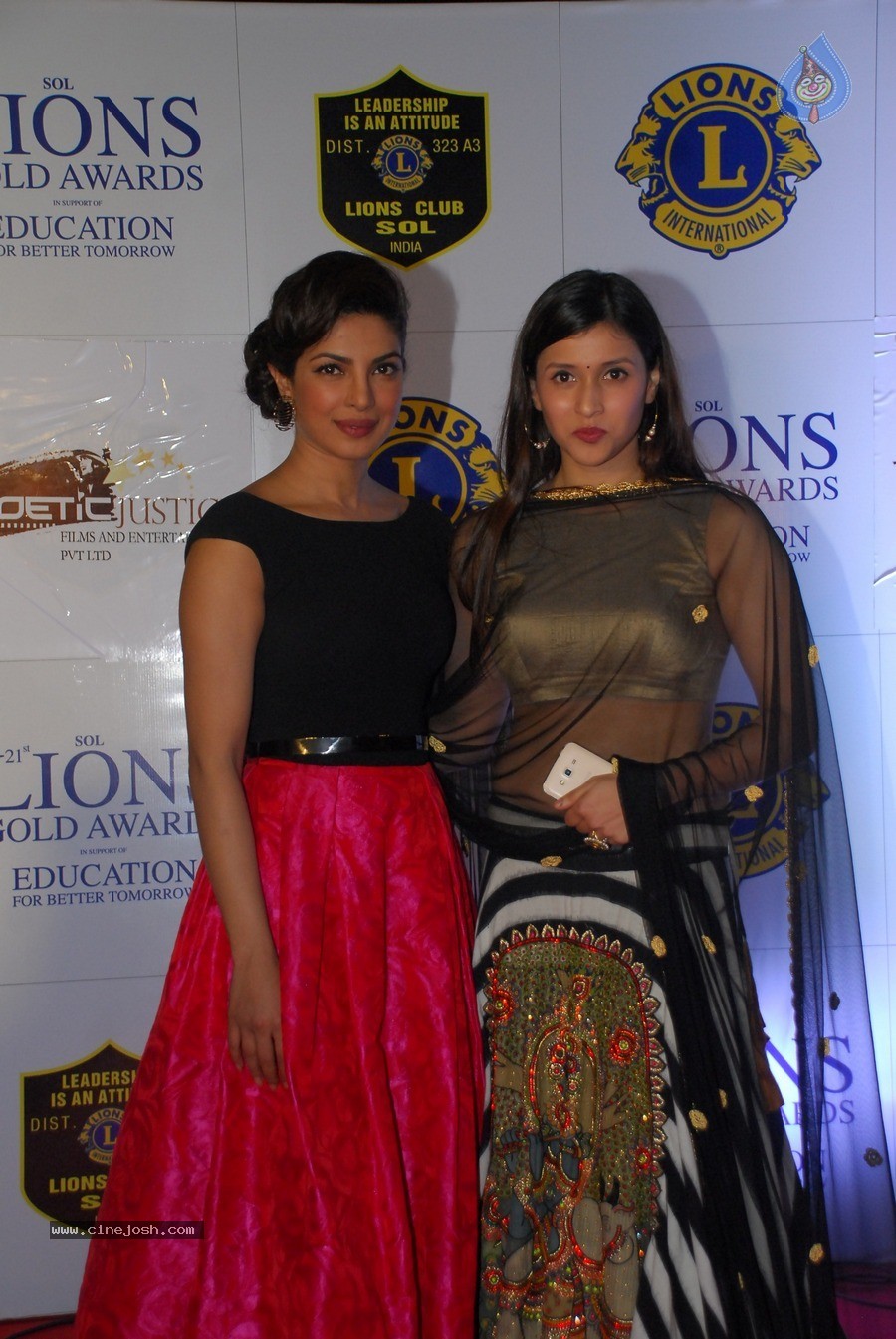 Bolly Celebs at 21st Lions Gold Awards 2015 - 3 / 67 photos