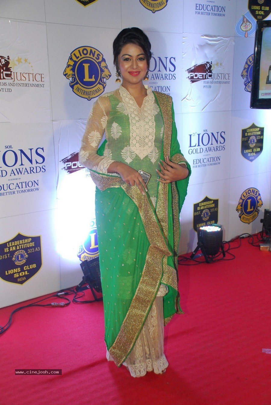 Bolly Celebs at 21st Lions Gold Awards 2015 - 10 / 67 photos
