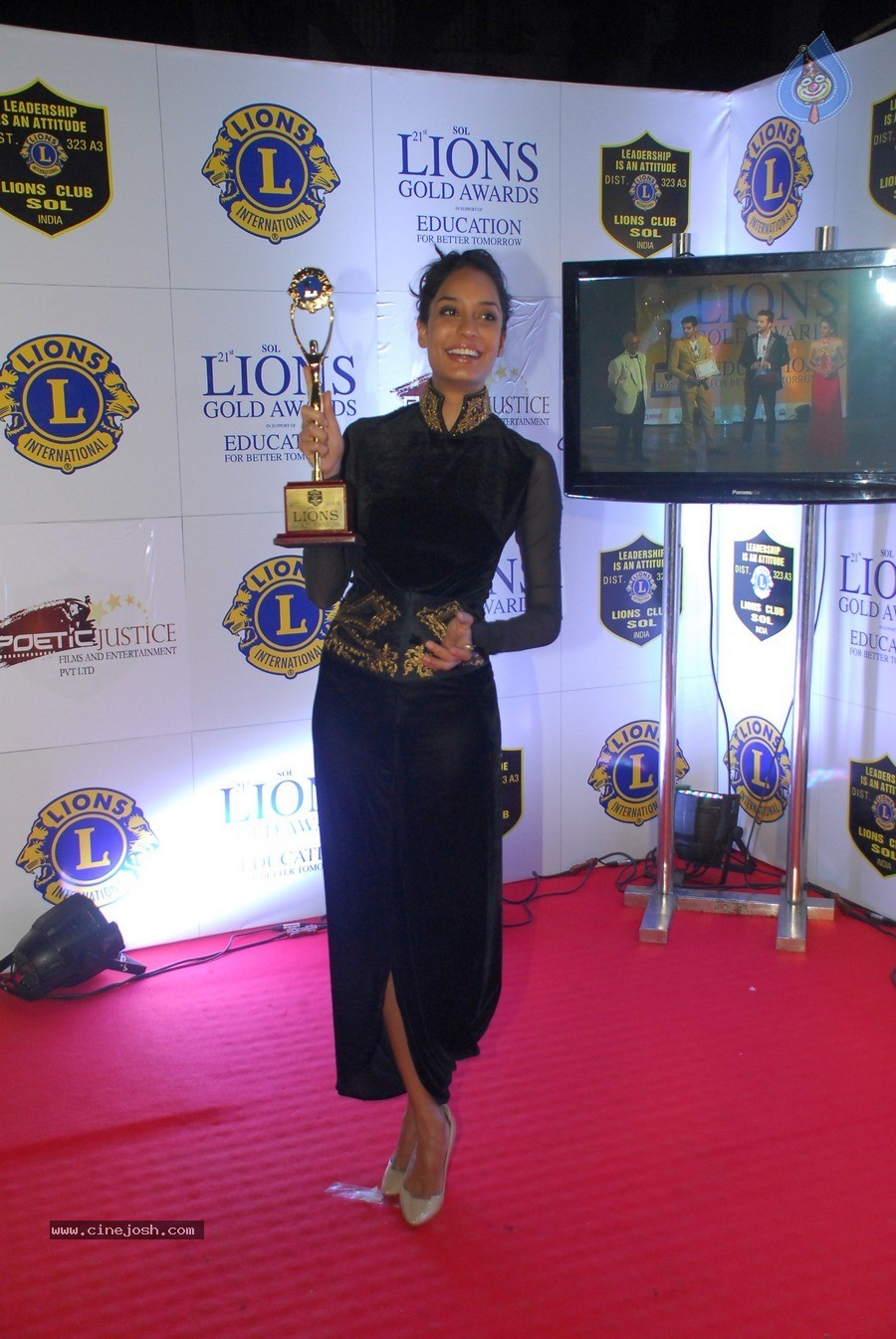 Bolly Celebs at 21st Lions Gold Awards 2015 - 12 / 67 photos