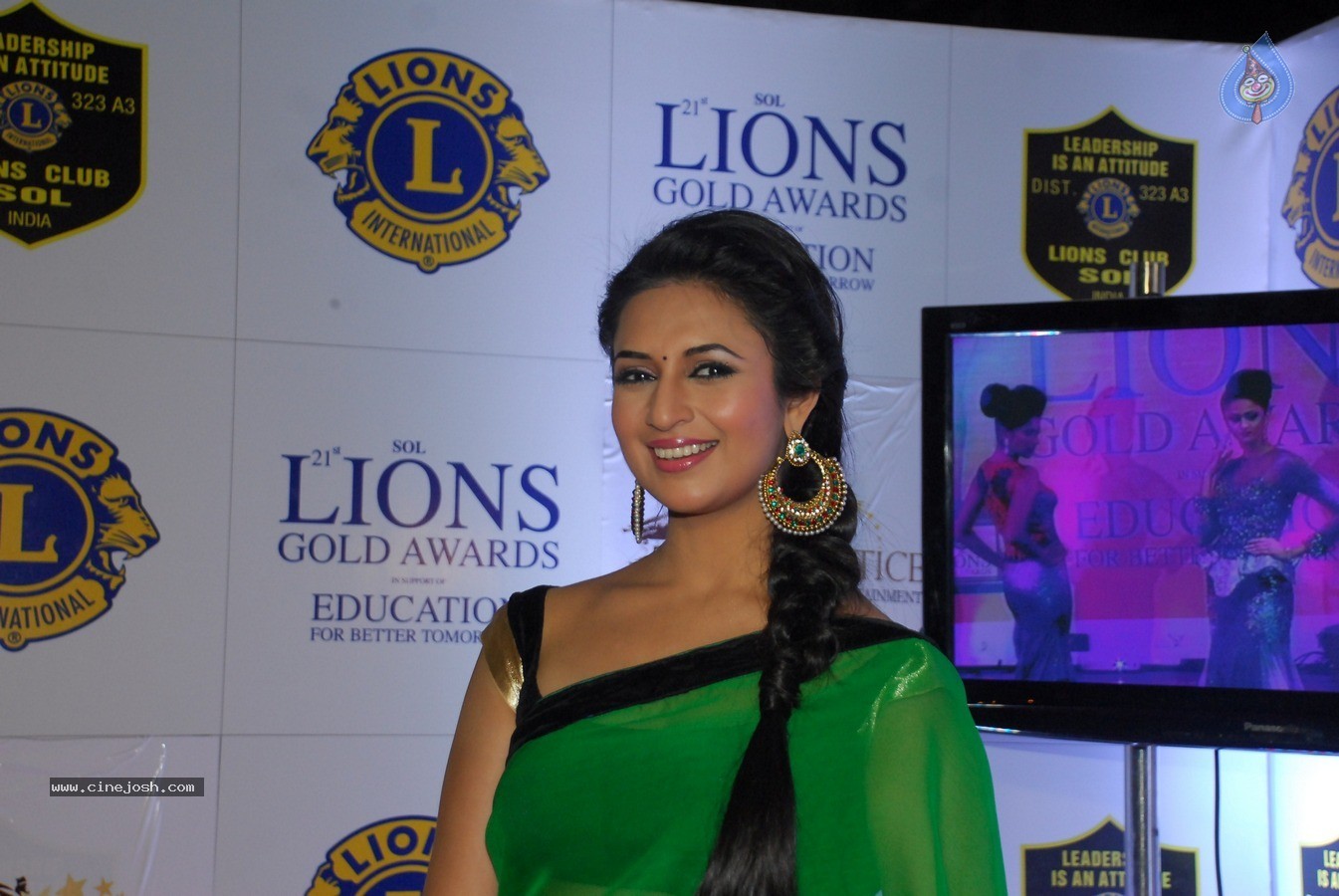 Bolly Celebs at 21st Lions Gold Awards 2015 - 17 / 67 photos