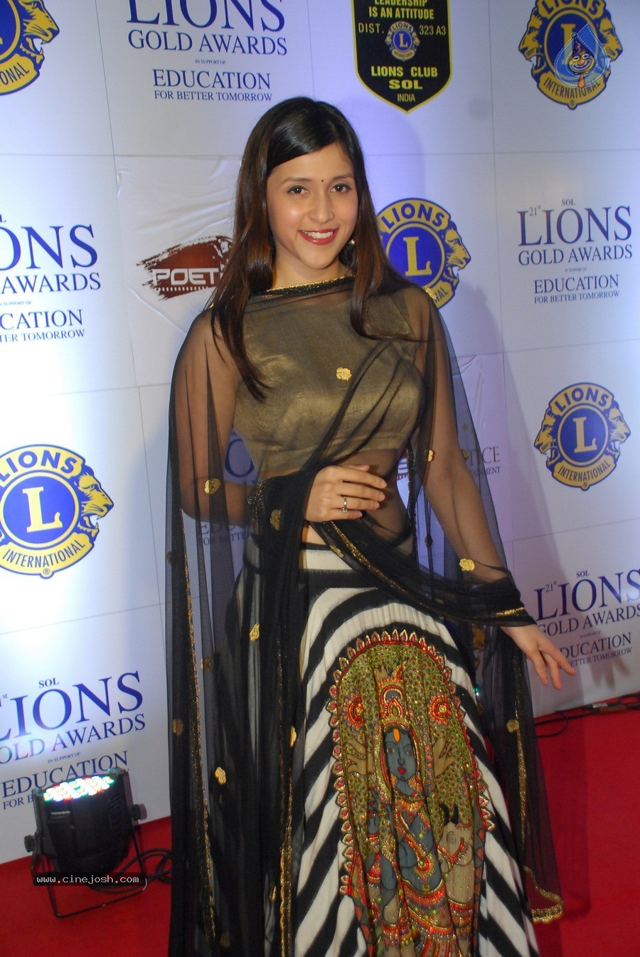 Bolly Celebs at 21st Lions Gold Awards 2015 - 21 / 67 photos