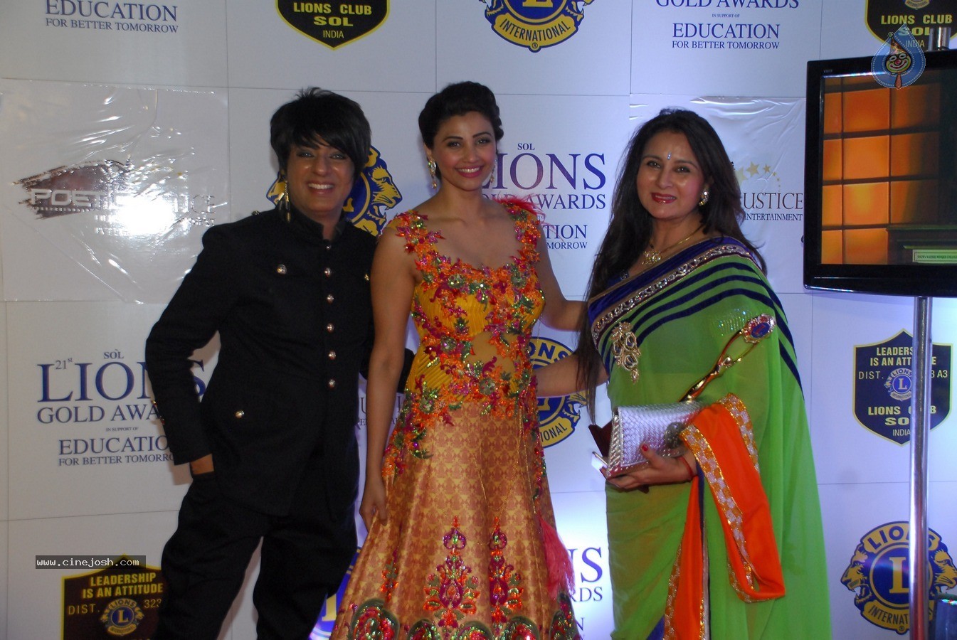 Bolly Celebs at 21st Lions Gold Awards 2015 - 23 / 67 photos