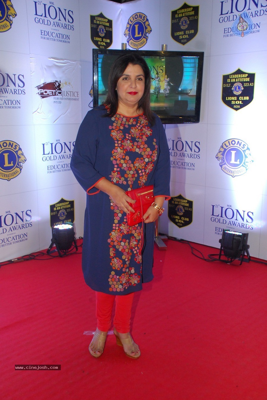 Bolly Celebs at 21st Lions Gold Awards 2015 - 51 / 67 photos