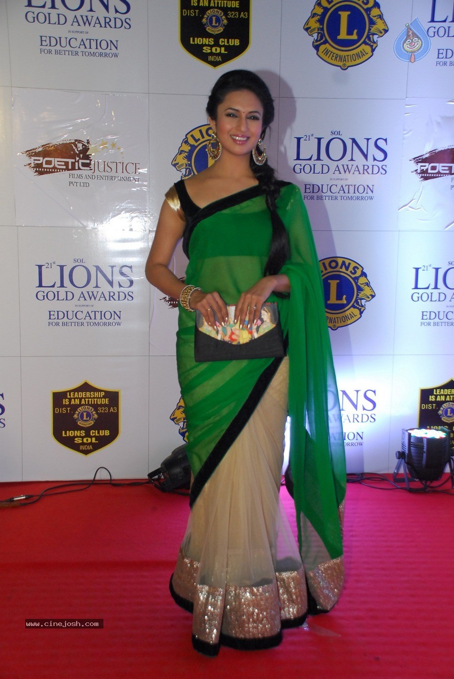 Bolly Celebs at 21st Lions Gold Awards 2015 - 54 / 67 photos