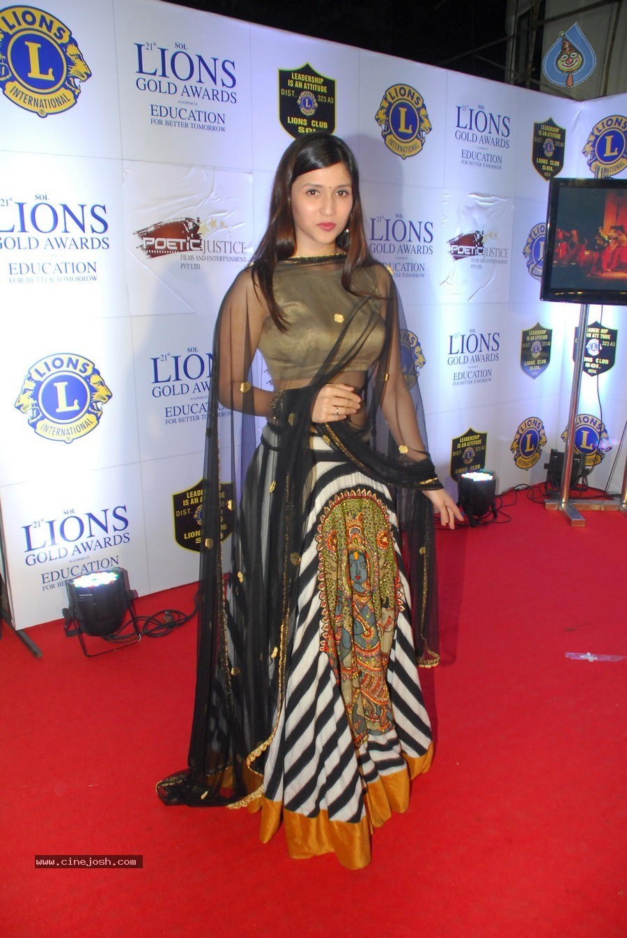 Bolly Celebs at 21st Lions Gold Awards 2015 - 60 / 67 photos