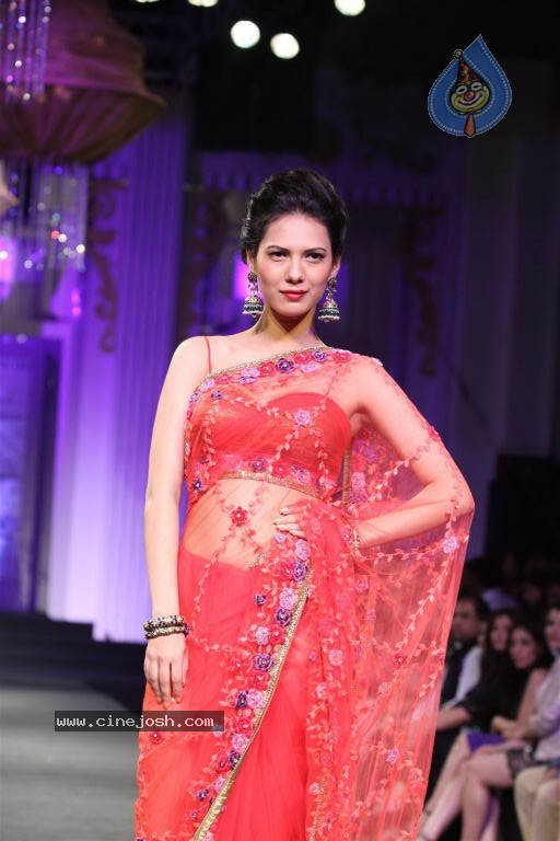 Bolly Celebs at Aamby Valley India Bridal Fashion Week - 20 / 54 photos
