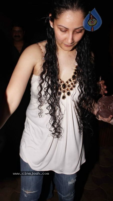 Bolly Celebs at Ameesha Patel Bash - 34 / 65 photos