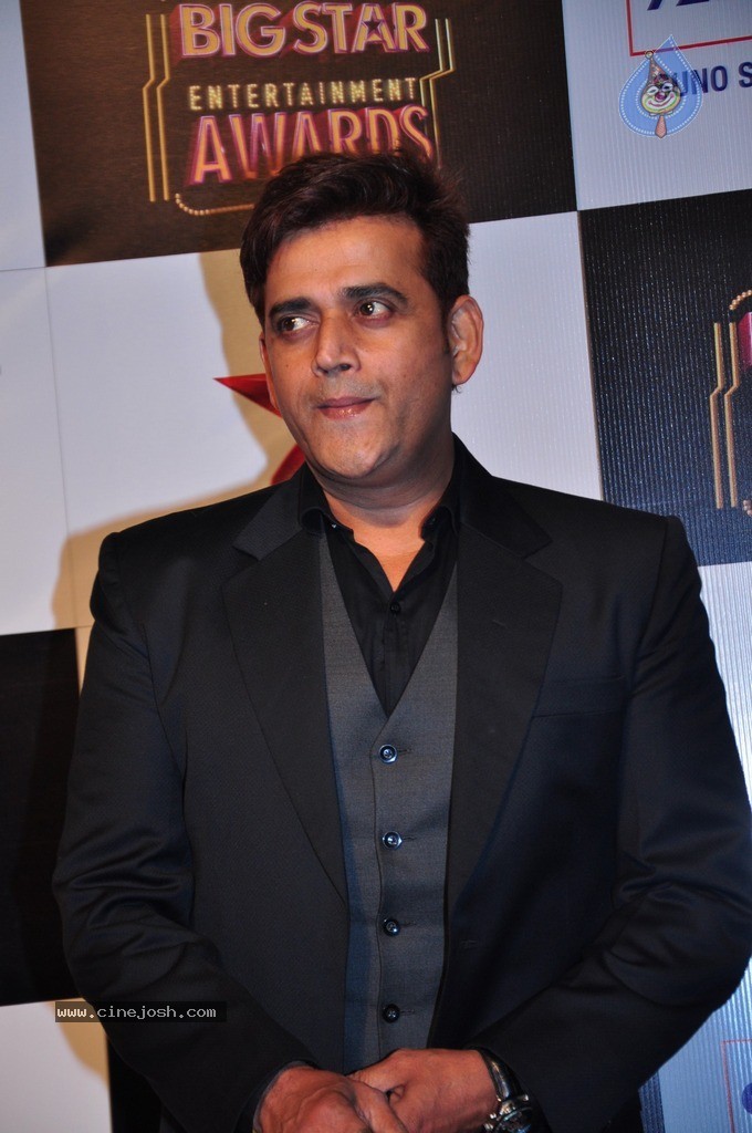 Bolly Celebs at Big Entertainment Awards 2014 - 8 / 110 photos