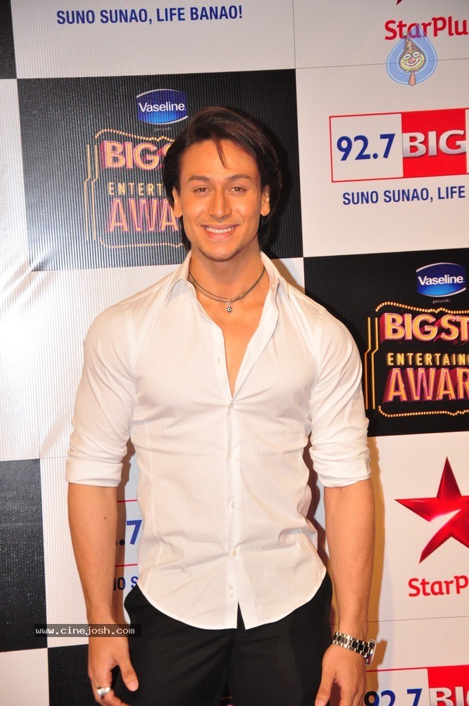 Bolly Celebs at Big Entertainment Awards 2014 - 16 / 110 photos