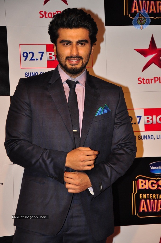 Bolly Celebs at Big Entertainment Awards 2014 - 26 / 110 photos