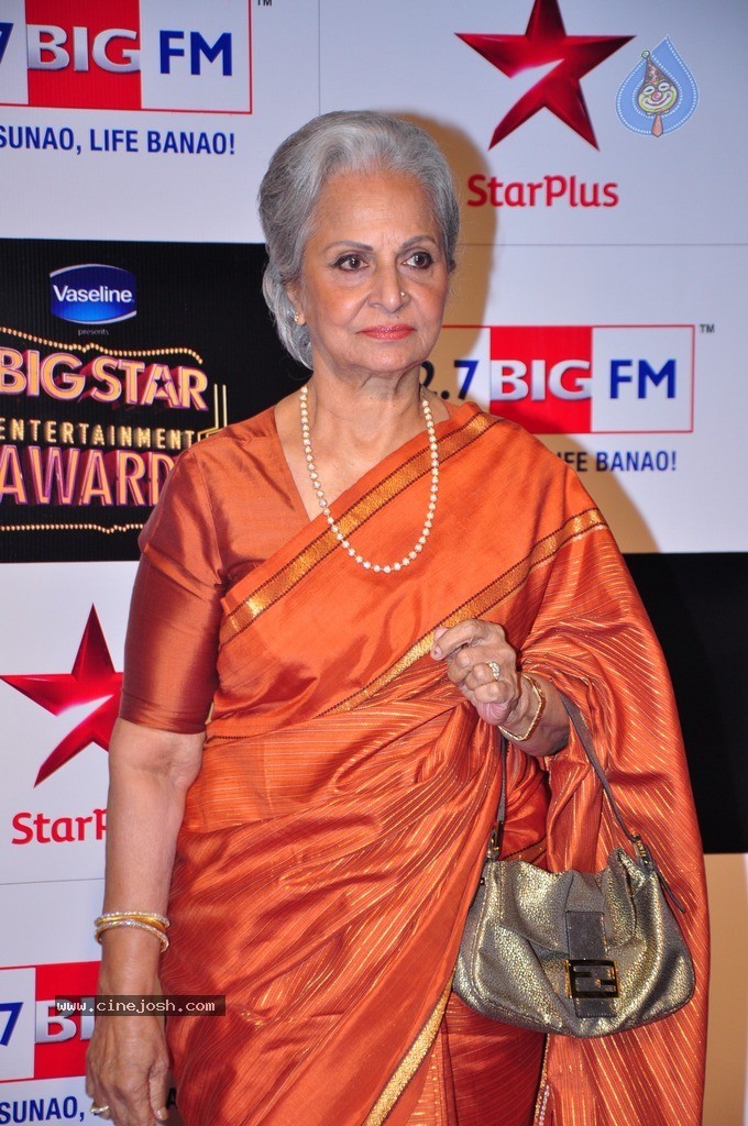 Bolly Celebs at Big Entertainment Awards 2014 - 28 / 110 photos