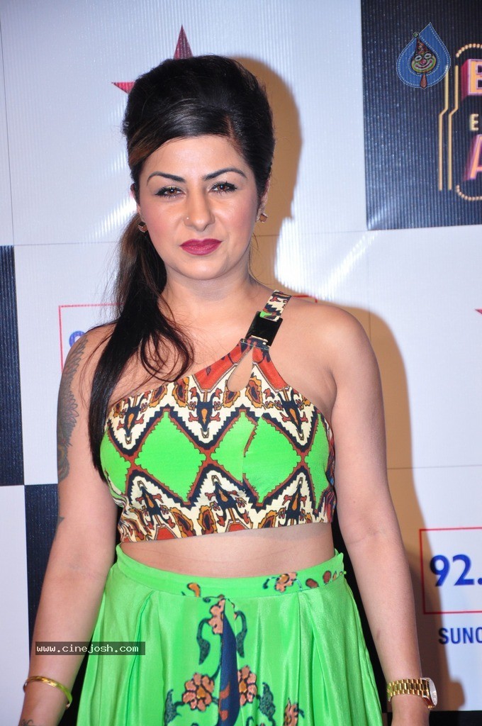 Bolly Celebs at Big Entertainment Awards 2014 - 30 / 110 photos