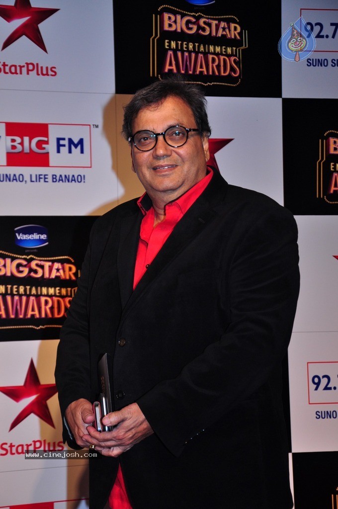 Bolly Celebs at Big Entertainment Awards 2014 - 31 / 110 photos